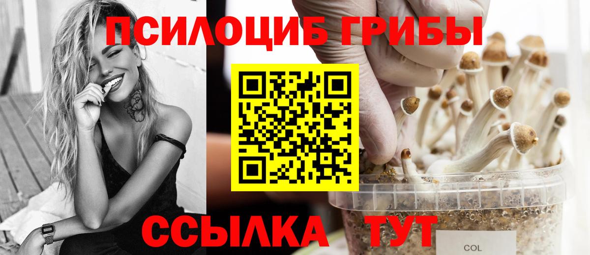 Галлюциногенные грибы GOLDEN TEACHER Коломна