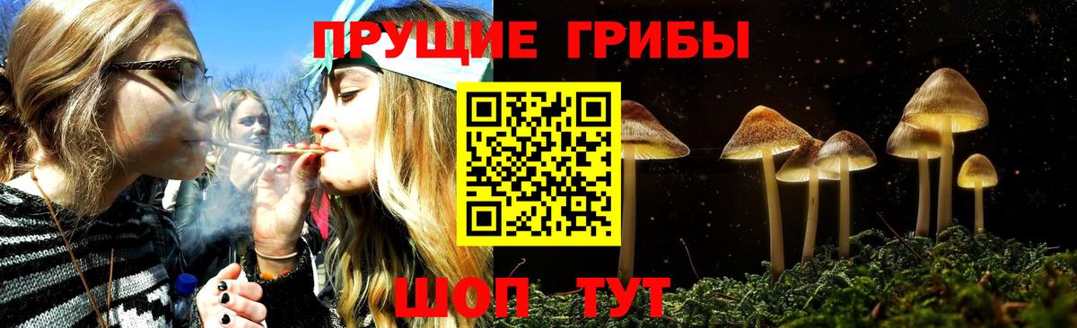 Коломна  Галлюциногенные грибы GOLDEN TEACHER  Вход с VPN 